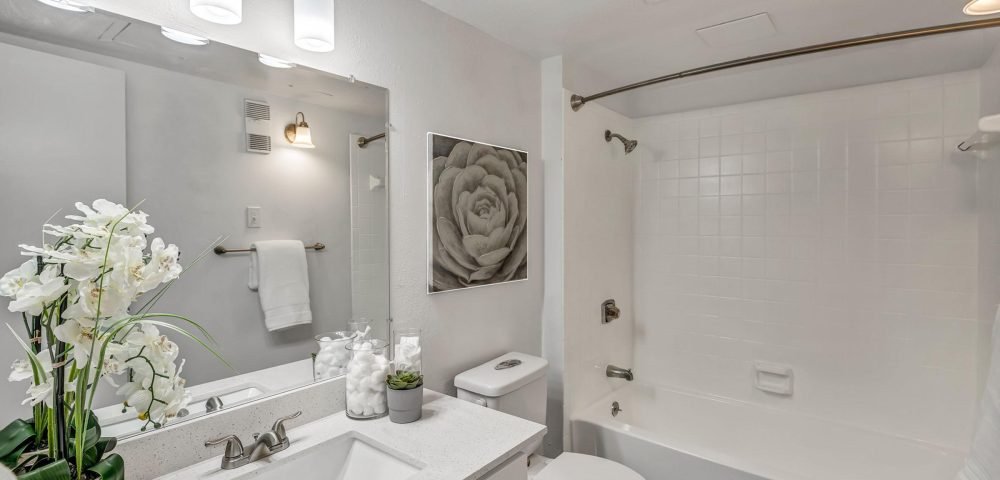Alara North Burnet 3
