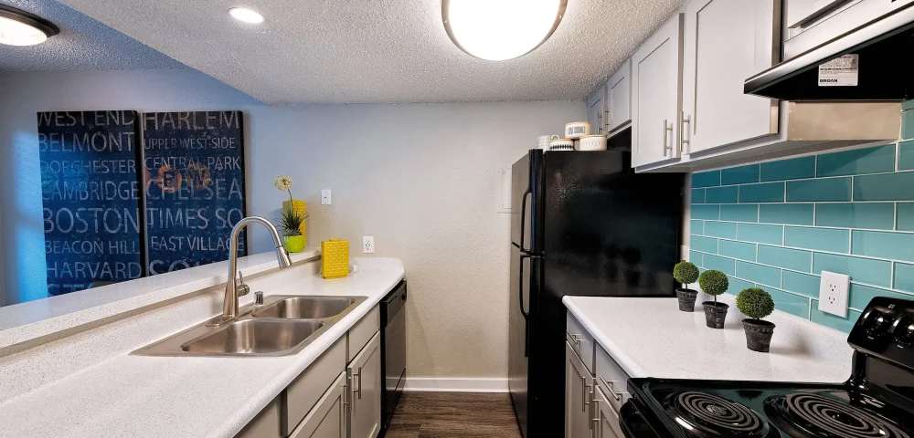 Artisan at South Lamar 2