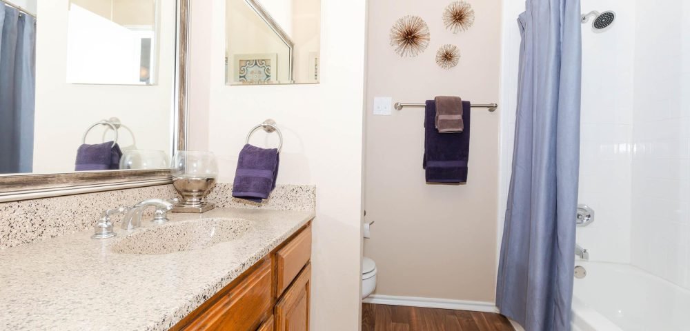 Plano Park Townhomes 3