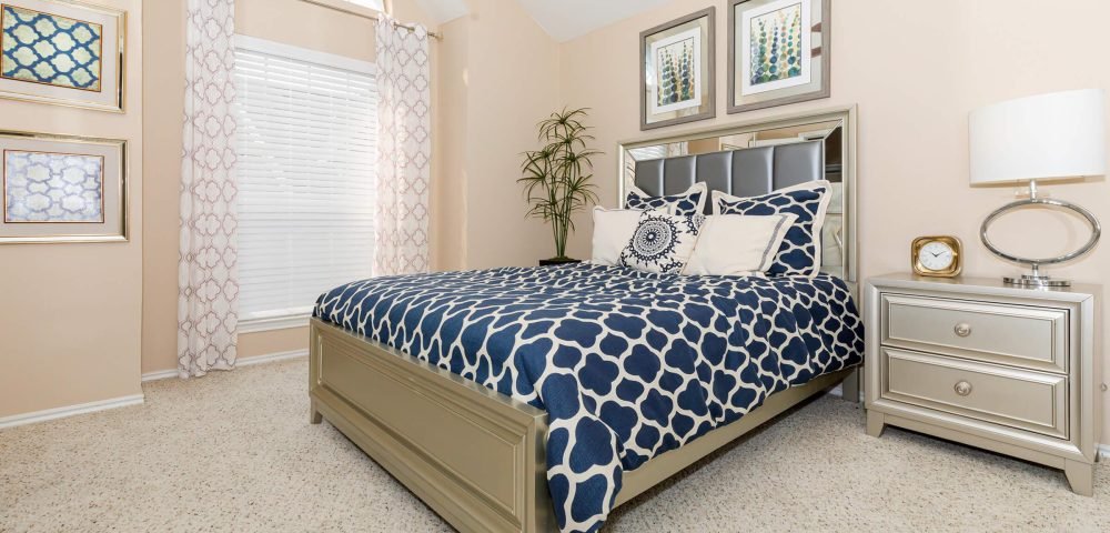 Plano Park Townhomes 4