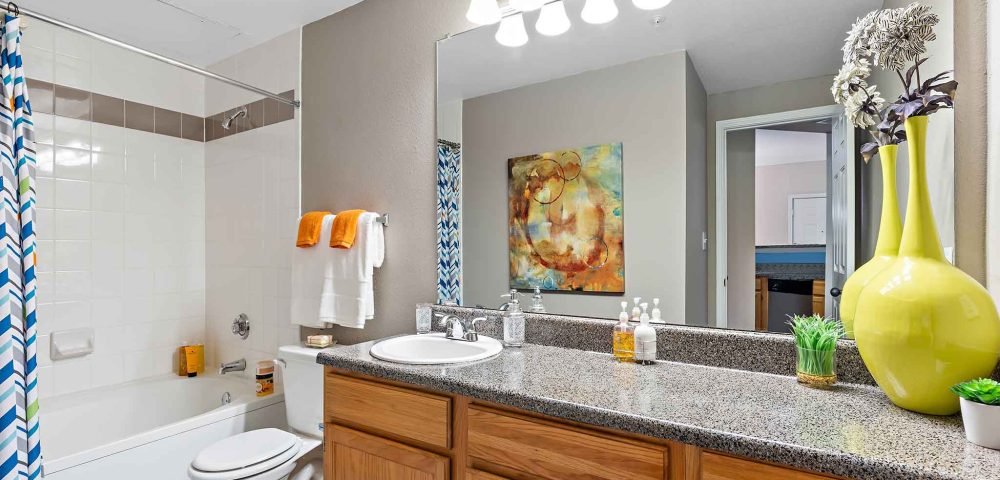 The Lexington at Valley Ranch 3