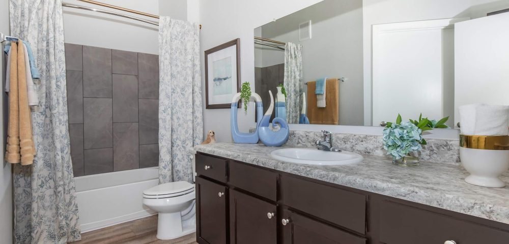 Vantage at Burleson 3